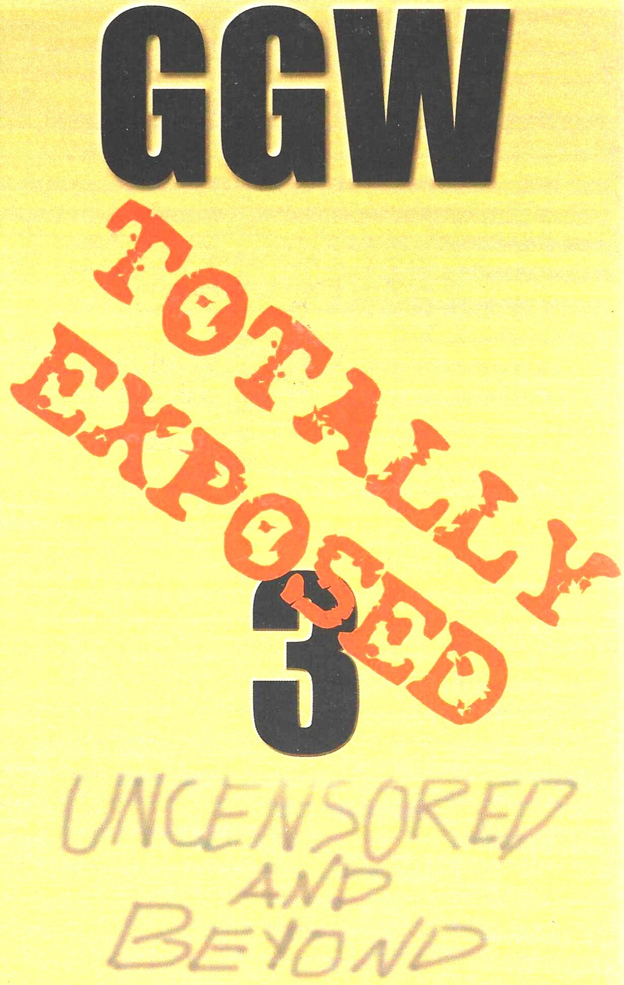 (image for) Girls Gone Wild: Totally Exposed 3 (2000)