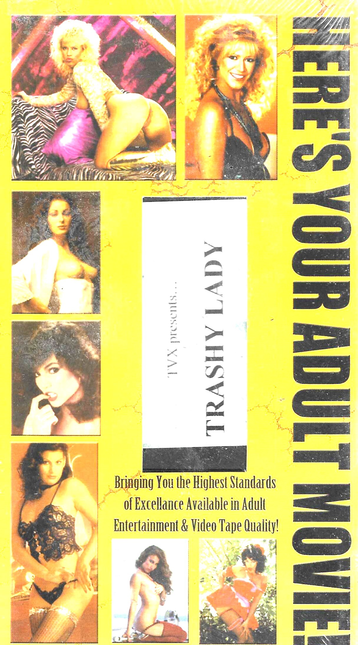 (image for) Trashy Lady (2005)