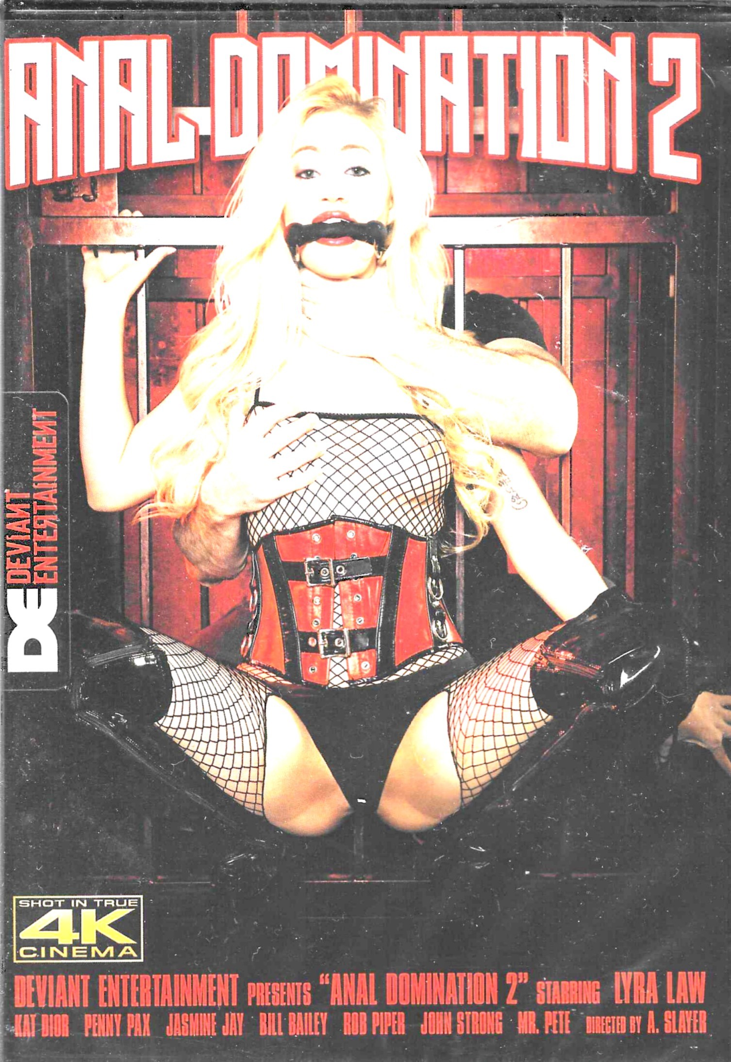 (image for) Anal Domination 2